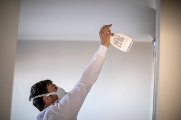 Best Mold Removal and Inspection  in Braddock Heights, MD