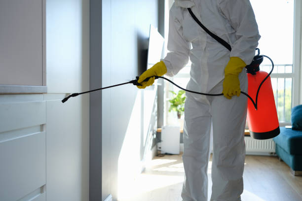 Best Residential Mold Removal  in Braddock Heights, MD