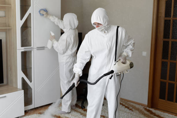 Certified Mold Removal in Braddock Heights, MD
