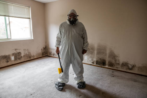 Mold Removal and Inspection in Braddock Heights, MD